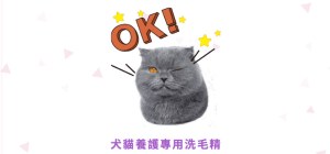 寵物洗毛精