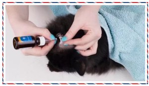 寵物耳道清潔液