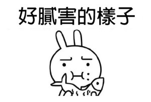 寵物耳道清潔液