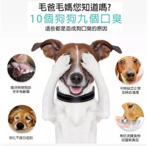 沛德克靈_寵物潔齒液